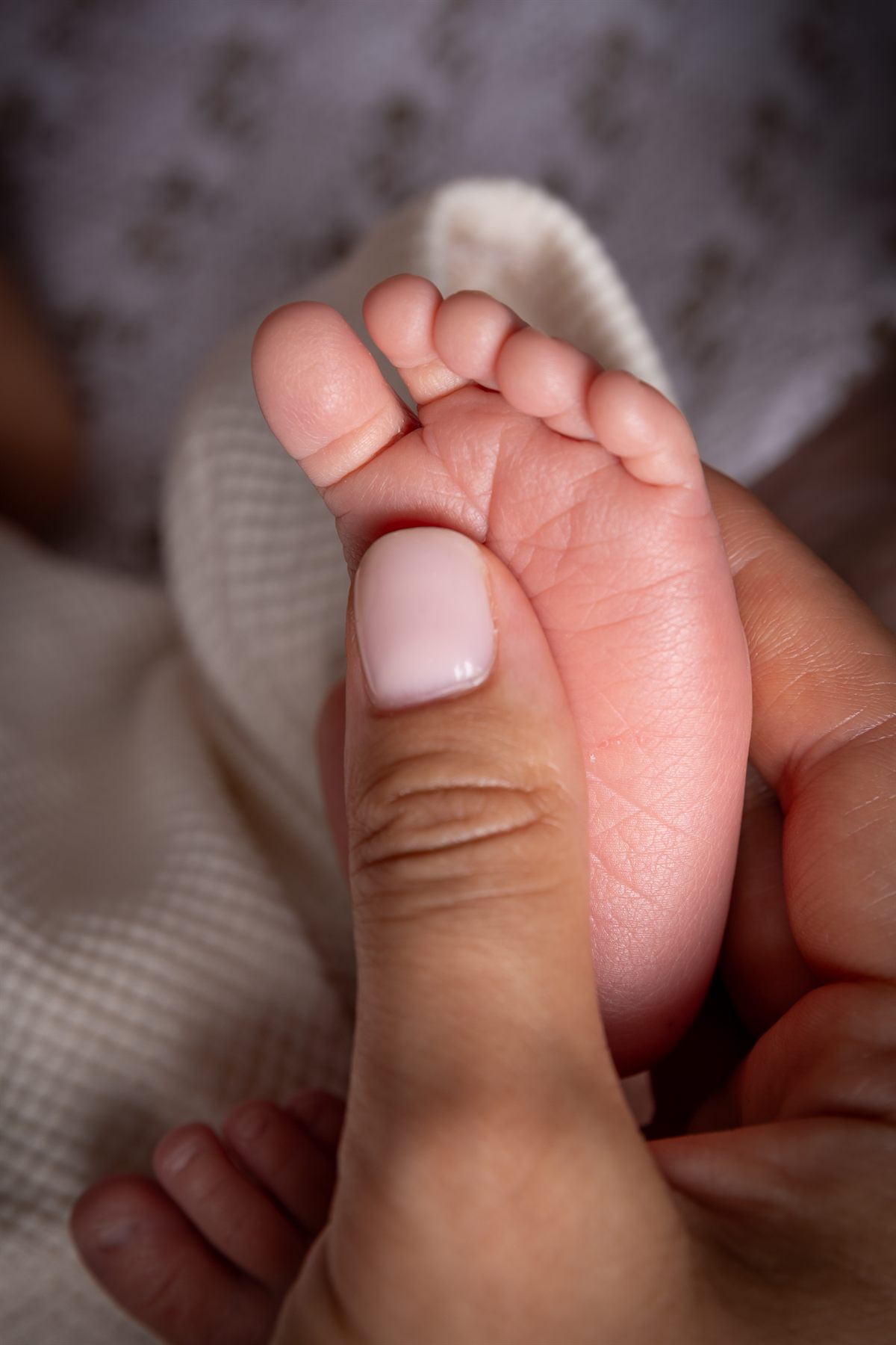 Nou-născut adormit, înfășurat în pătură moale — ședință foto newborn în studio în Oradea (4)